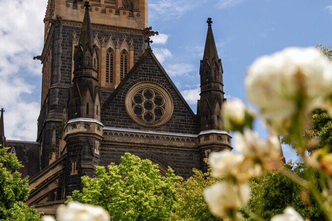 Full-day Melbourne City Sightseeing with Penguin Parade - Pricing & Value