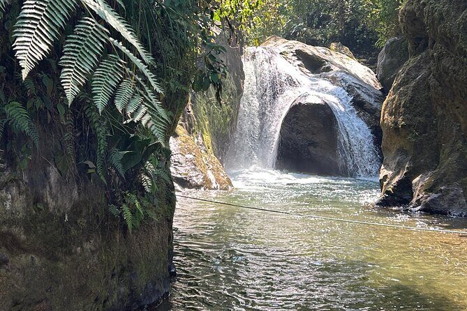 Full Day Mindo - Cloud Forest from Quito - FAQ