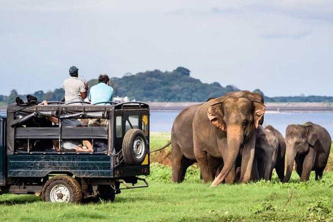 Full-Day Minneriya and Kaudulla National Parks Private Safari - Key Points