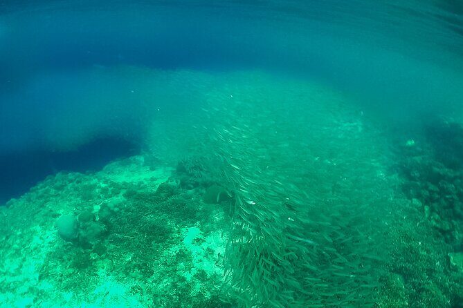 Full-Day Moalboal Islands and Kawasan Falls Small-Group Tour from Cebu - FAQ