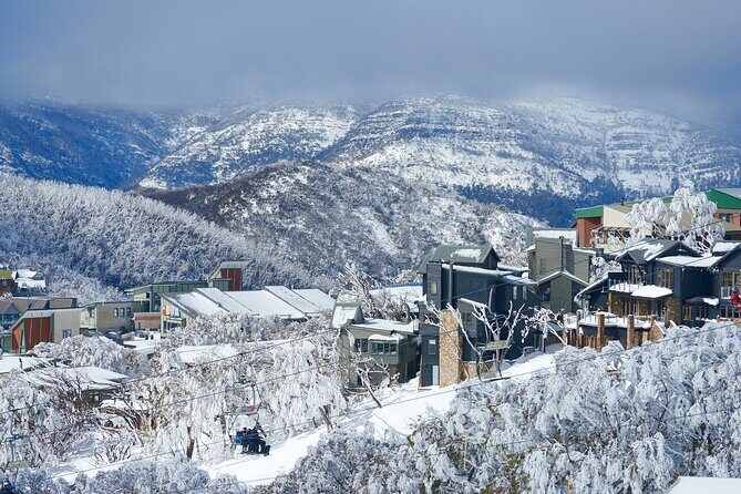 Full-Day Mount Buller Tour - An In-Depth Look at the Full-Day Mount Buller Tour