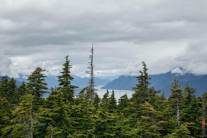Full-Day Mount Riley Hike from Haines - Who Would Love This Experience?