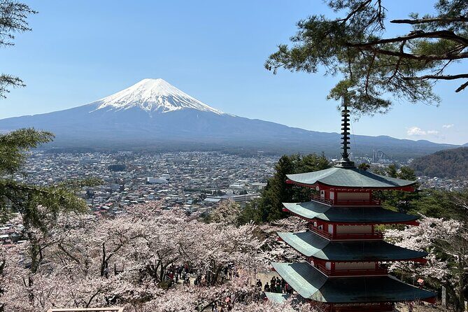 Full Day Mt.Fuji&Hakone Tour, From-To Tokyo, Yokohama, 2-12guests - A Detailed Look at the Tour Experience