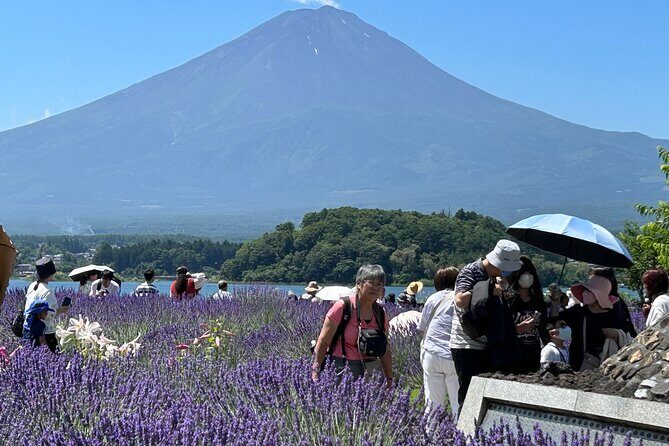 Full Day Mt.Fuji&Hakone Tour, From-To Tokyo, Yokohama, 2-12guests - FAQ
