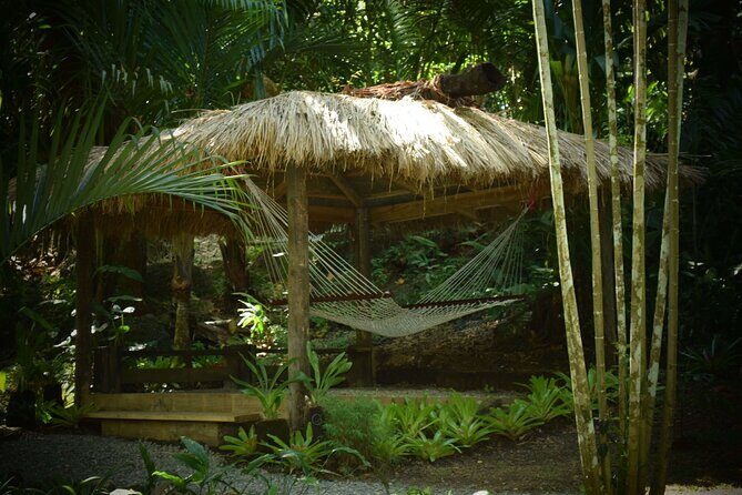 Full Day-Mudpools,Village,Temple,Sleeping Giant Gardens,Shopping Ex Coral Coast - A Comprehensive Look at the Tour Experience