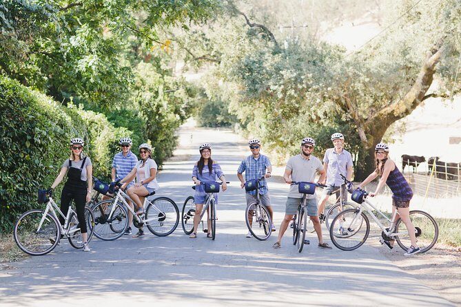 Full-Day Napa Valley E-Bike Tour with Picnic Lunch - Exploring the Itinerary in Detail