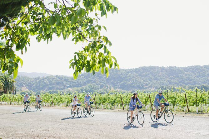 Full-Day Napa Valley E-Bike Tour with Picnic Lunch - Final Thoughts
