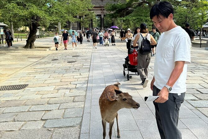 Full Day Nara Deer, Temple, Shrine, Activities & Tea Ceremony - Final Thoughts
