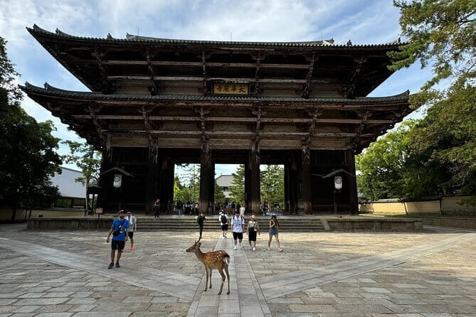 Full Day Nara Deer, Temple, Shrine, Activities & Tea Ceremony - FAQ