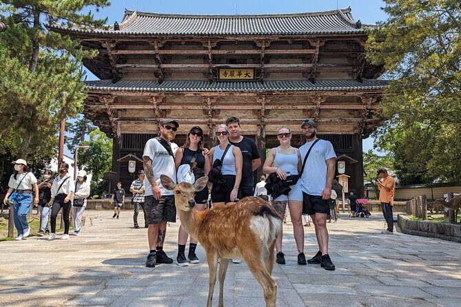 Full Day Nara E bike Tour and Osaka History Food Tour - A Deep Dive into the Experience: From Historical Landmarks to Local Flavors