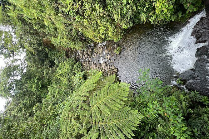 Full Day National Park Adventure - What Makes This Tour Stand Out?