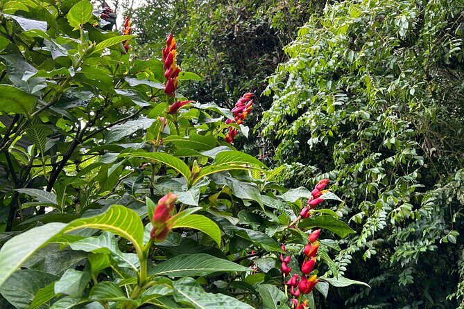 Full Day National Park Adventure - Final Thoughts