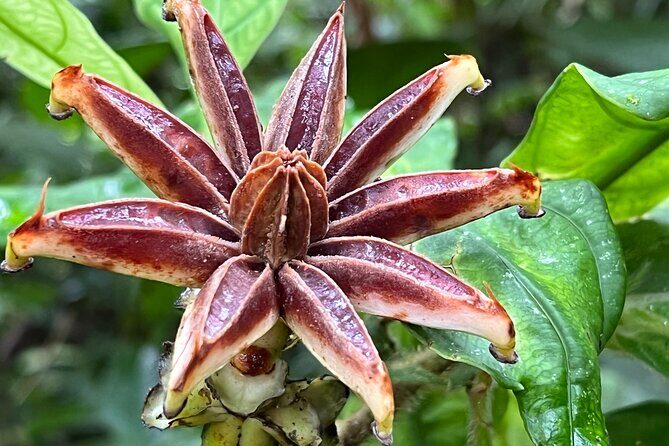 Full Day National Park Adventure - FAQ