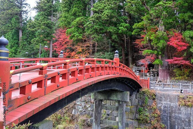 Full Day Nikko Private Tour with Multilingual Chauffeur - Practical Considerations and What You’ll Get