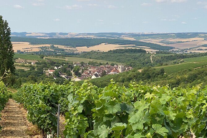 Full-Day North Burgundy and Chablis Wine Tasting Tour from Paris - Frequently Asked Questions