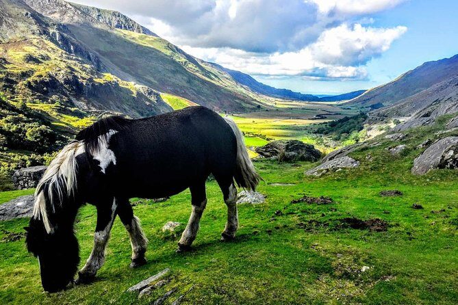 Full-Day North Wales Sightseeing Adventure from Manchester - Exploring the Itinerary in Detail