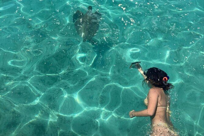 Full Day Nouméa Signal Island Turtle Tour - Full Day Nouméa Signal Island Turtle Tour: A Detailed Look