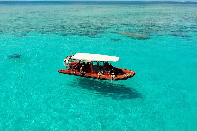 Full Day Nouméa Signal Island Turtle Tour - Exploring the Signal Island Turtle Tour in Detail