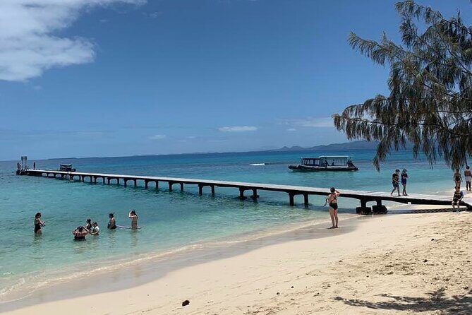 Full Day Nouméa Signal Island Turtle Tour - Final Words