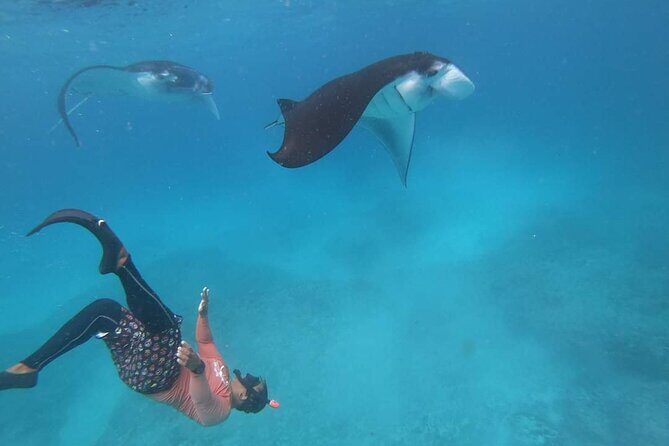 Full Day Nusa Penida Manta Point Snorkeling and West Island Tour - Final Thoughts