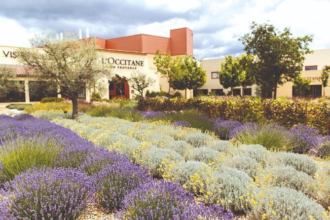Full Day Ocean of Lavender in Valensole from Avignon - Final Thoughts