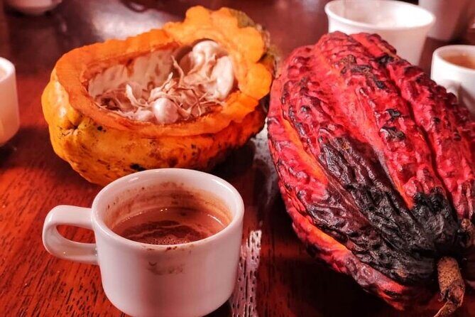 Full Day of Adventures in Mindo Area - Key Points