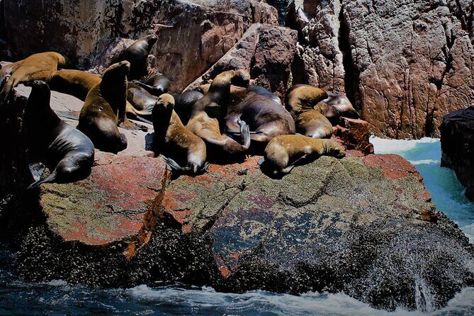 full day of Lima: Paracas and Huacachina ica in luxury mobility! - Source