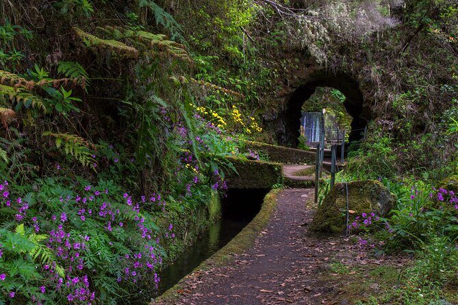 Full Day of Wonders: Madeira 4x4 Private Tour - Who Will Love This Tour?