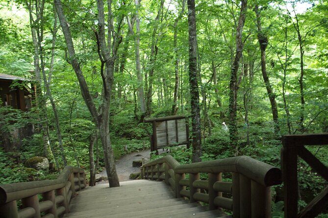 Full day Oirase Stream and Lake Towada Tour - FAQ