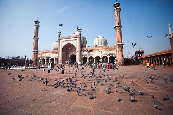 Full Day Old and New Delhi Private Tour with Guide - The Full Experience: A Deep Dive into the Delhi Tour