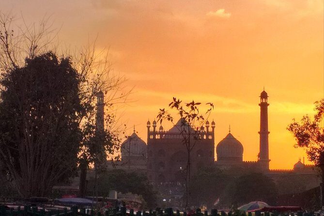 Full Day Old & New Delhi City Tour - Authentic Experiences: What Travelers Say