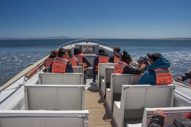 Full Day on Chiloé Island Visiting Penguins in Puñihuil - Key Points