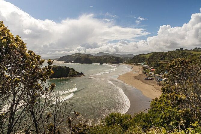 Full Day on Chiloé Island Visiting Penguins in Puñihuil - What’s Missing or Could Be Better?