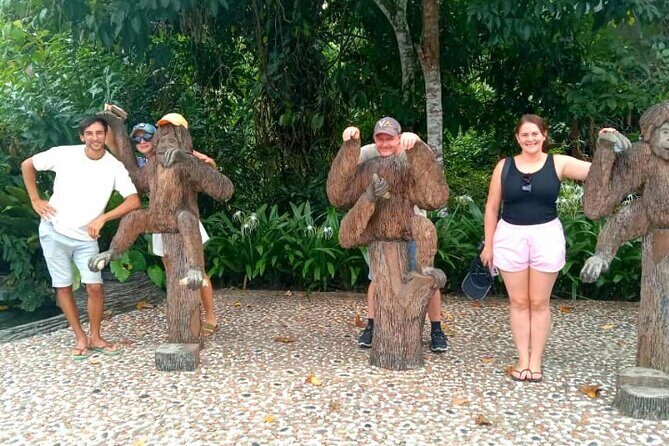 Full Day Orang Utan Sepilok, Proboscis Monkey, Sunbear, RDC - Experience the Wildlife Wonders of Sandakan with a Full-Day Tour