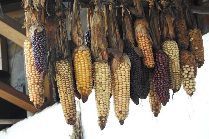 Full-Day Otavalo Indigenous Market Experience Culture and Nature - What We Love About This Tour