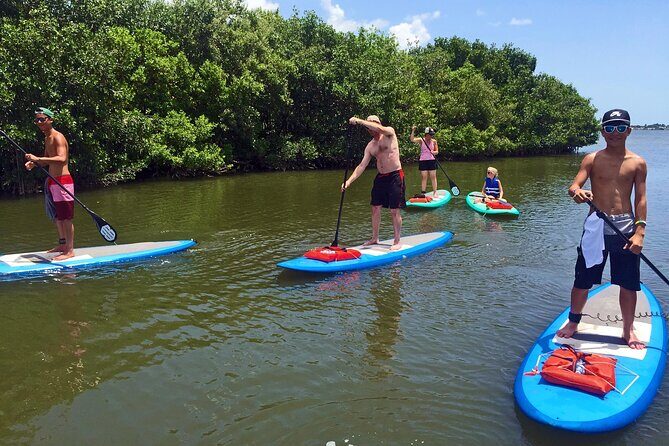 Full-Day Paddle Board Rental in Naples, Florida - Exploring Naples on a Stand-Up Paddleboard: A Practical Guide