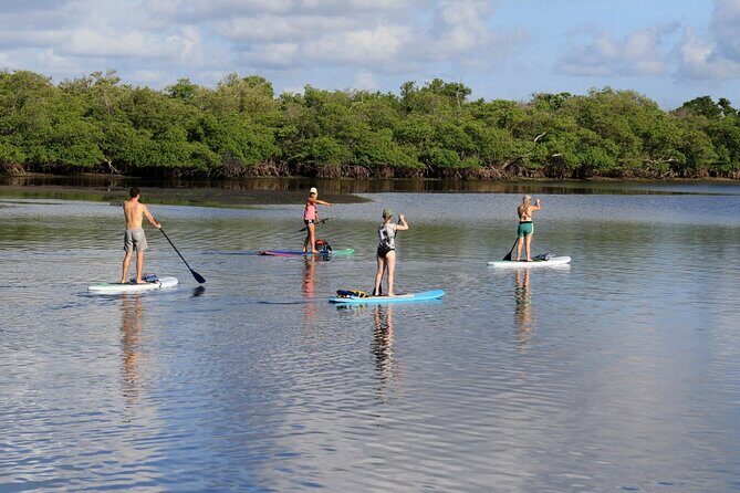 Full-Day Paddle Board Rental in Naples, Florida - An In-Depth Look at the Full-Day Paddleboard Rental