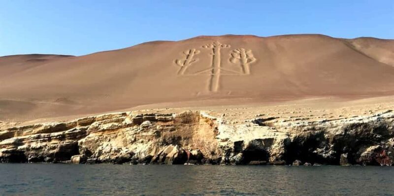 Full Day Paracas and Ballestas Islands - Exploring the Full Day Paracas and Ballestas Islands Tour