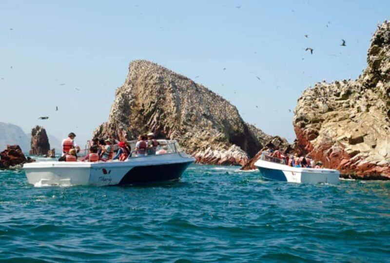Full Day Paracas and Ballestas Islands - FAQ