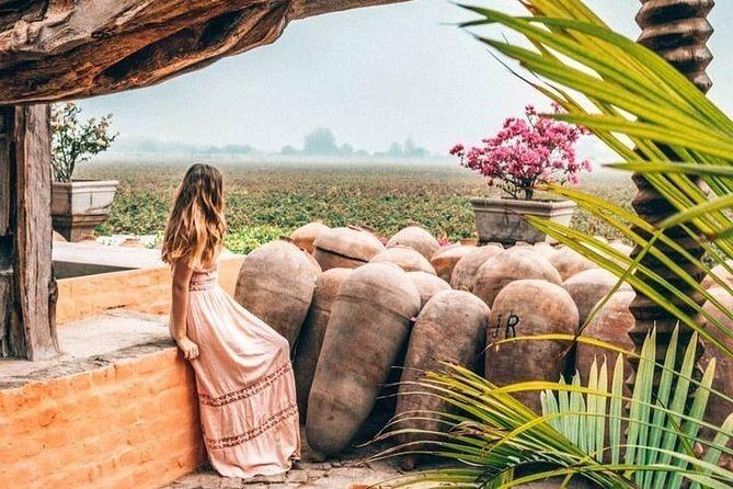 Full Day Paracas Ica and Huacachina from Lima All Included - FAQ