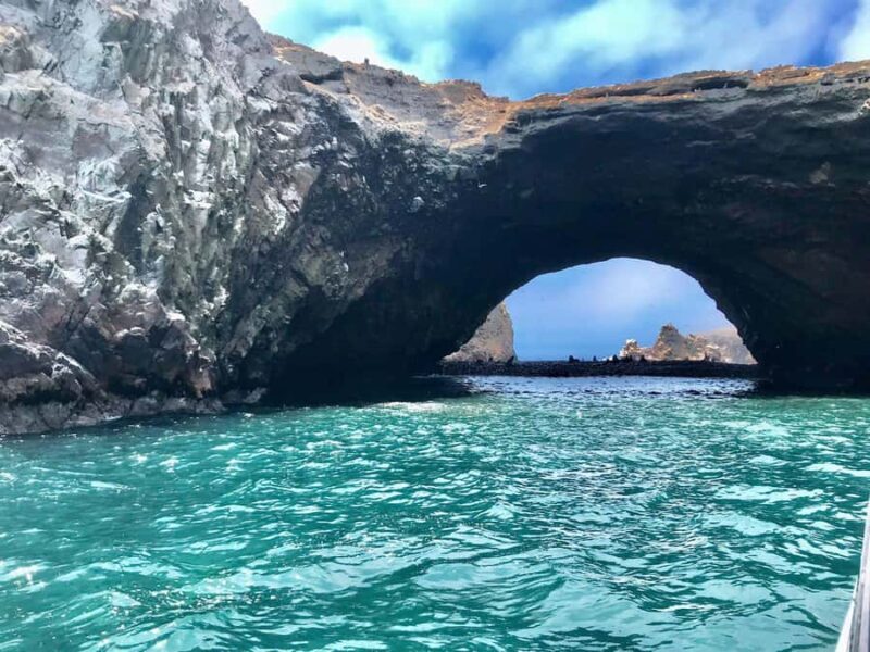 Full Day Paracas - ica from Lima - An In-Depth Look at the Tour Experience