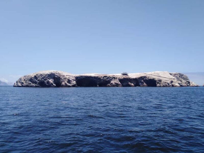 Full Day Paracas - ica from Lima - What Makes This Tour Stand Out?