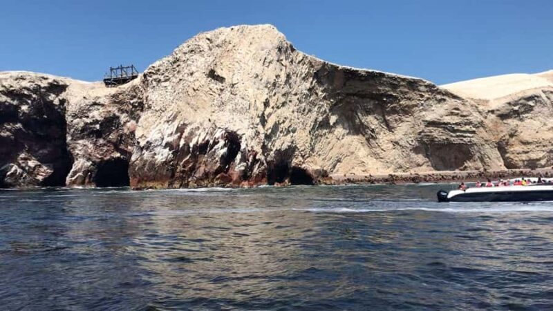 Full Day Paracas - ica from Lima - Who Should Consider This Tour?