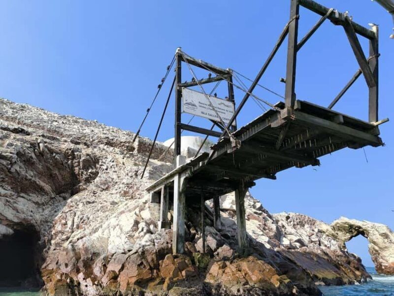 FULL DAY PARACAS - ICA - Experience the Best of Paracas and Ica in a Single Day