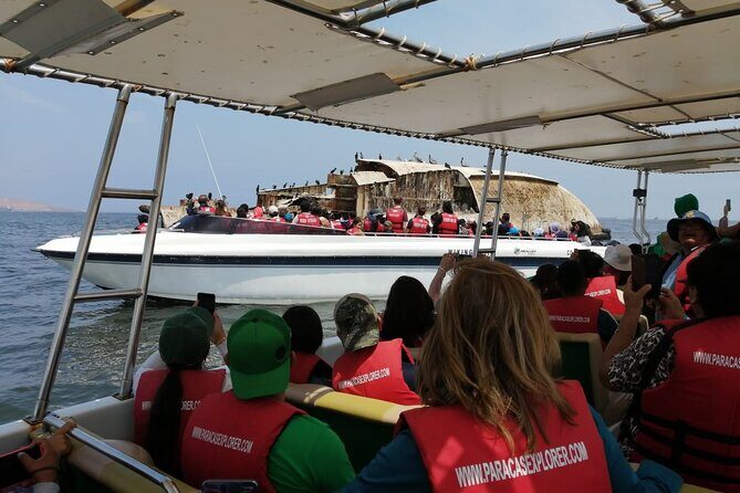 Full Day Paracas Islas Ballestas with Sandboarding and Dune Buggy - Key Points