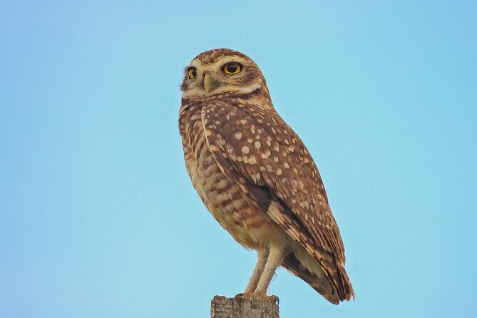 Full day Paraguay River Nature and Wildlife Boat Tour - FAQ