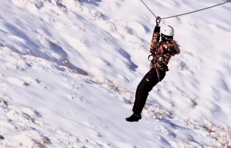 Full day Park Farellones with ticket - Who Should Consider This Tour?