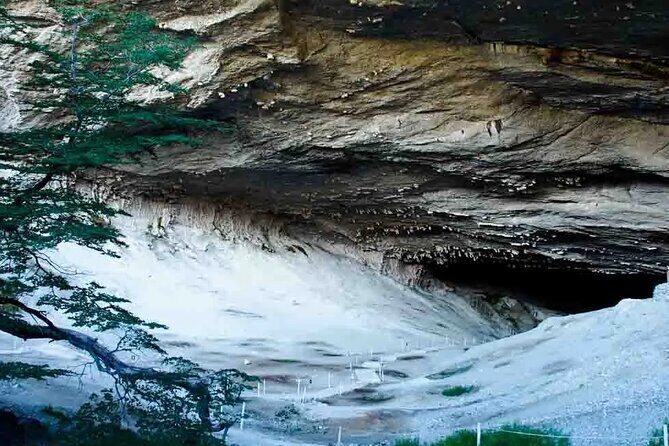 Full Day Patagonia Tour from Puerto Natales - Key Points