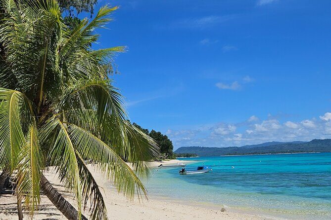 Full Day Pele Island Boat Tour with Barbeque Lunch - Exploring Pele Island: A Full-Day Boat Tour with BBQ Lunch