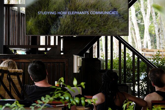 Full-Day Phuket Elephant Sanctuary Tour with Lunch and Dinner - Exploring the Phuket Elephant Sanctuary Experience in Detail